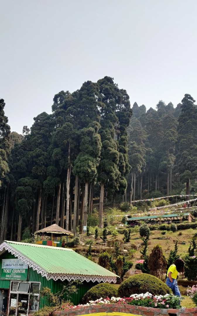 Lamahatta Eco park
