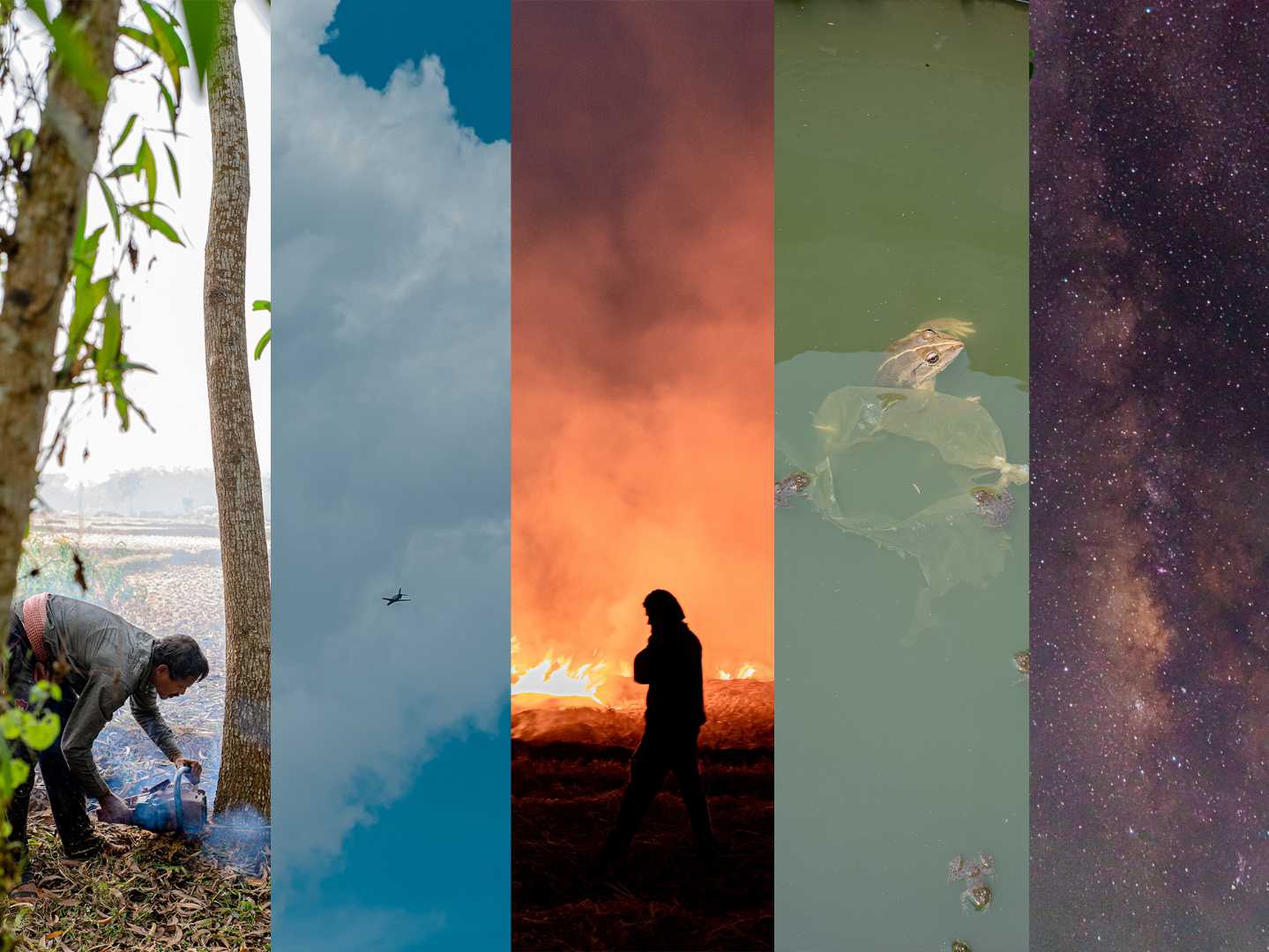 International Mother Earth Day