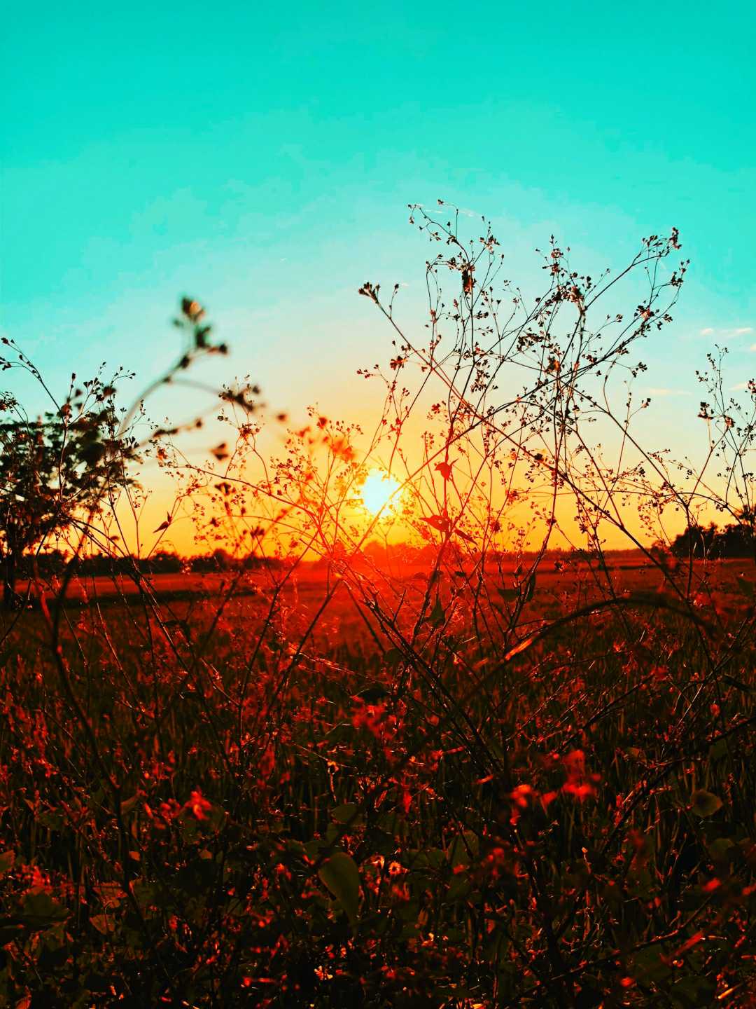 Evening is Coming | 🌅