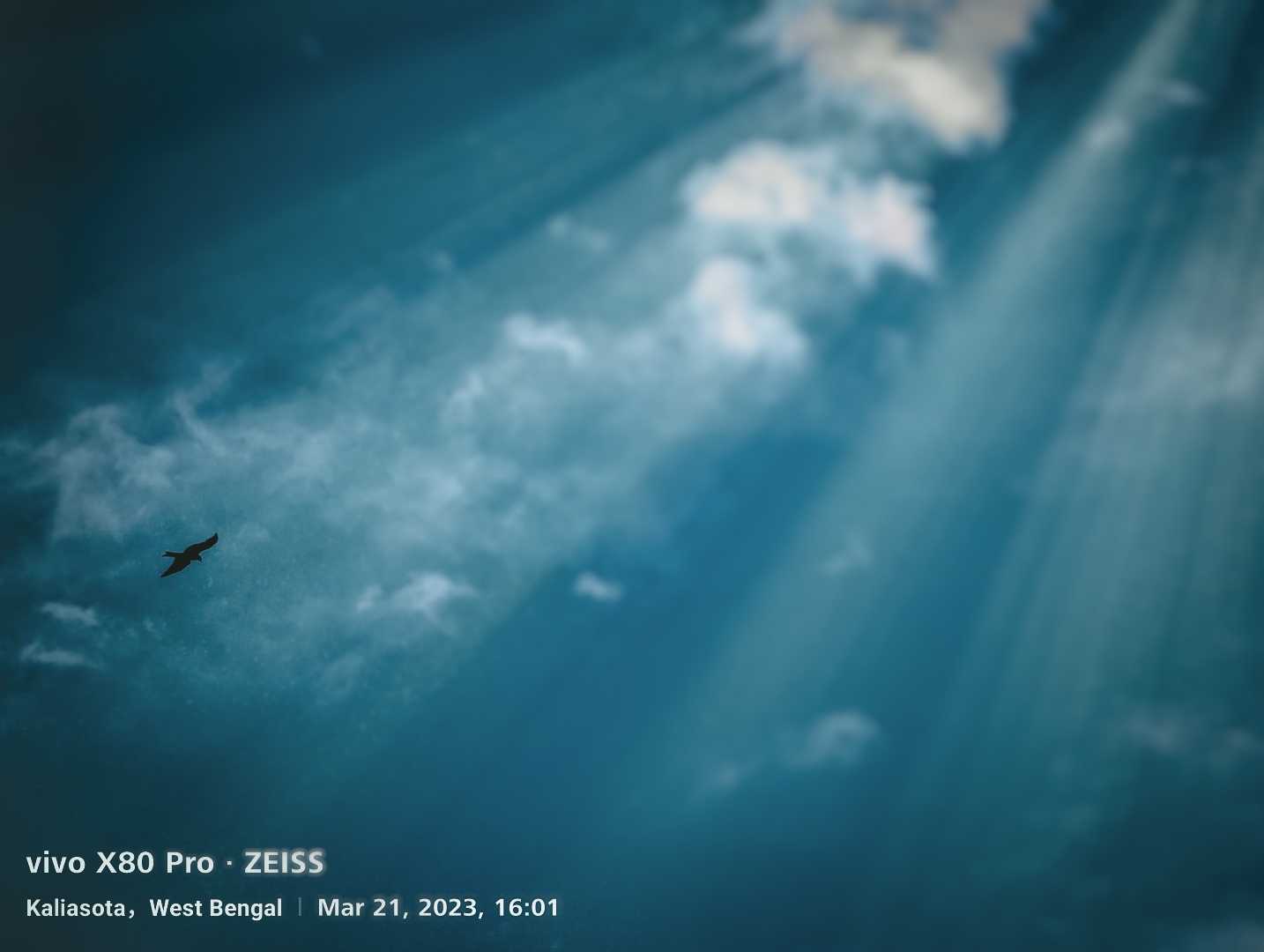 NO FEAR.... 