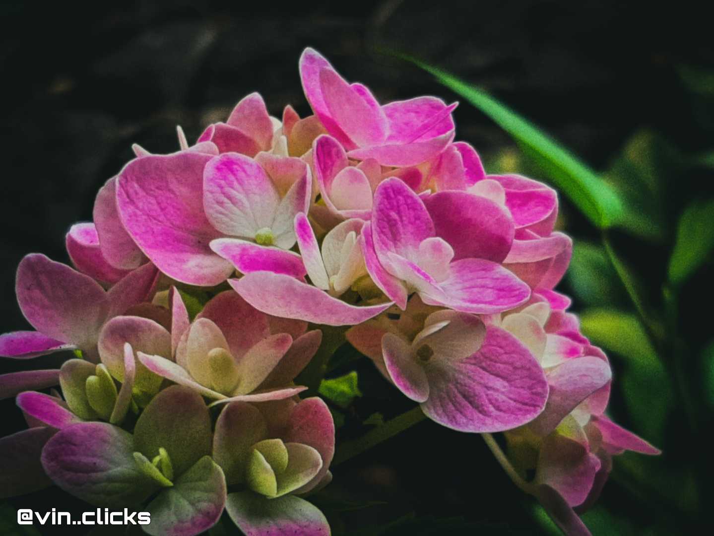 Beauty of nature 😍