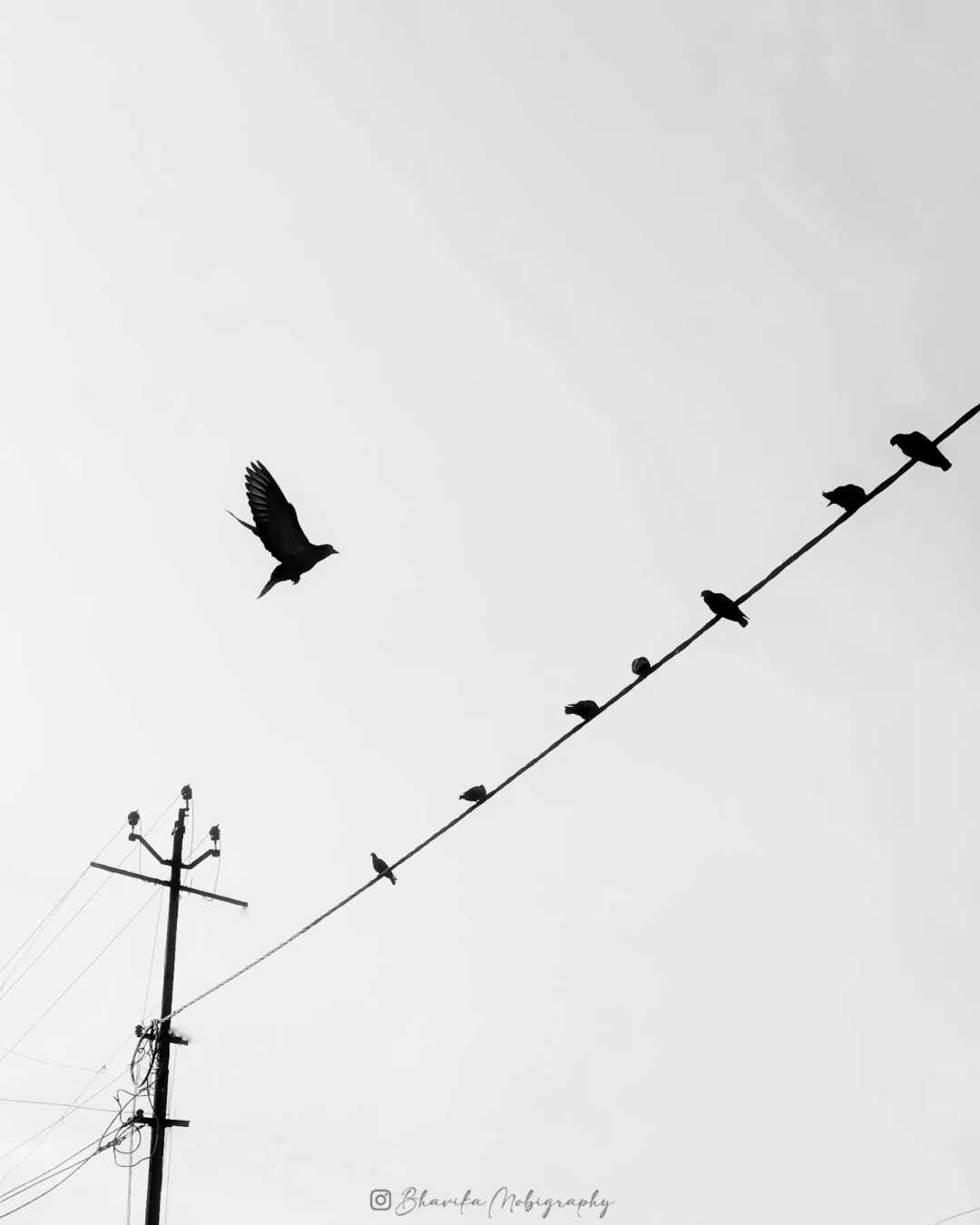 Spread your wings and fly🕊️.