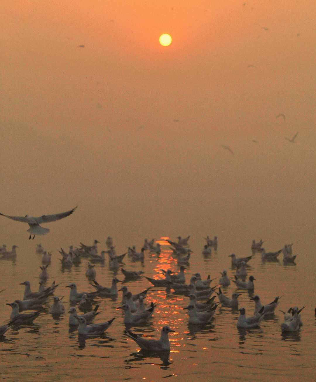 Peaceful morning 