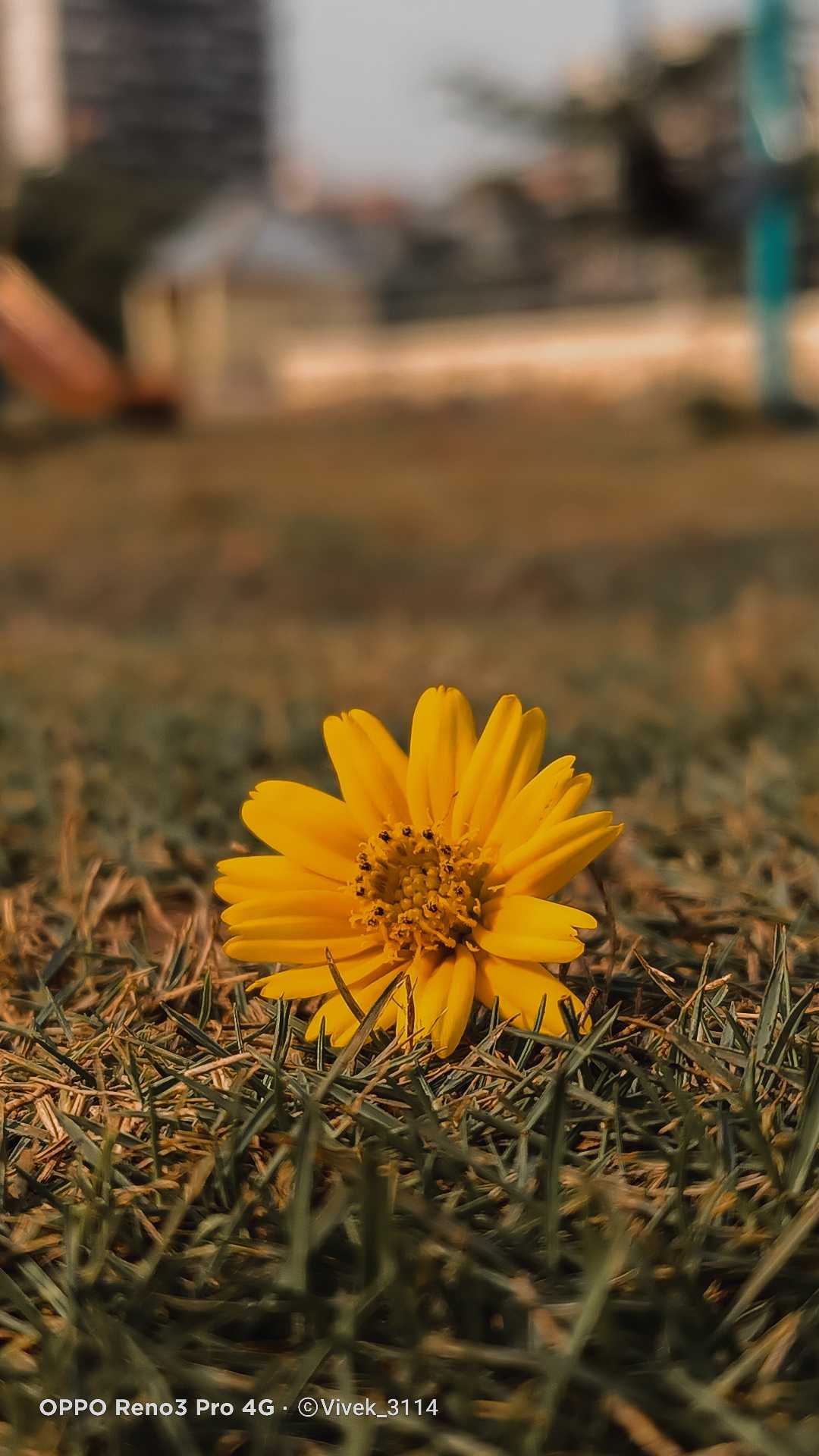 Mobile Photography