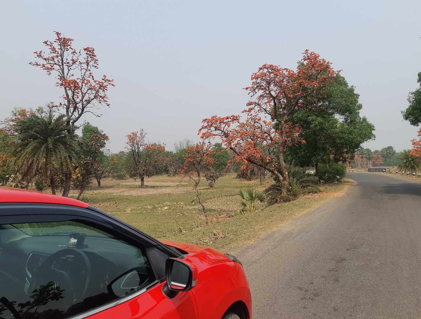 Travel 