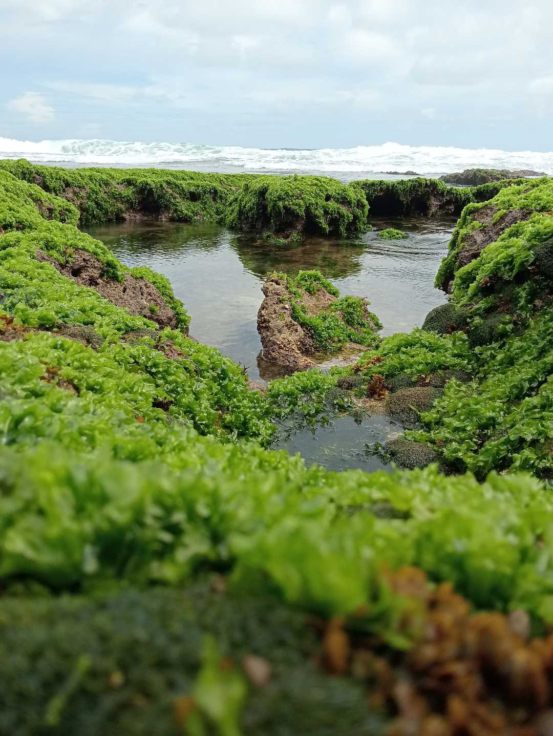 Pulau Mini