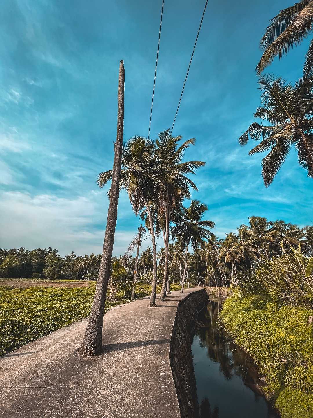 Take a walk