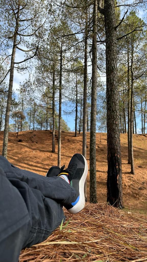 Sitting in woods….
