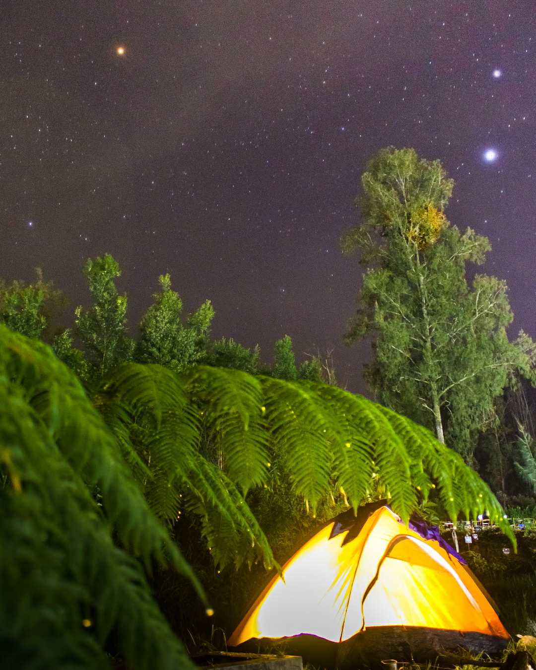 langit berbintang di perkemahan kawah ijen