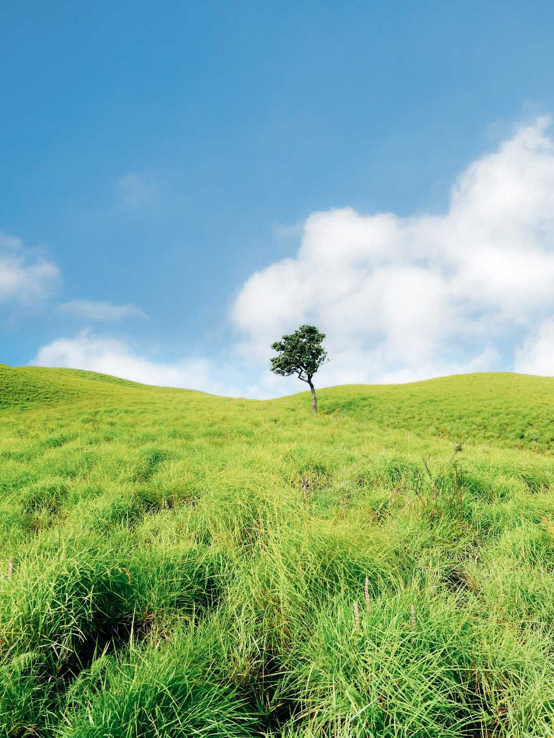 Bukit Nanggi, Sembalun