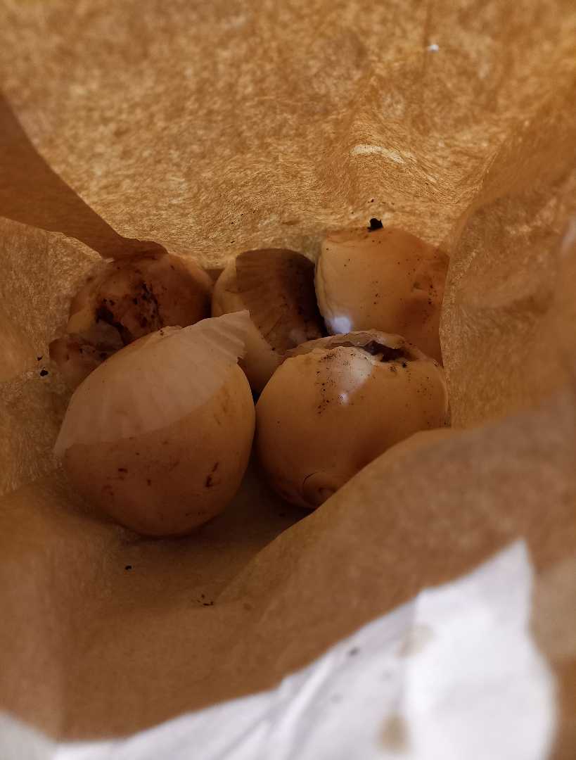 "3N Toasted Siopao"