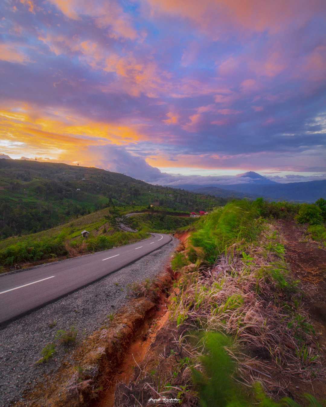 bukit selasih semurup, belui