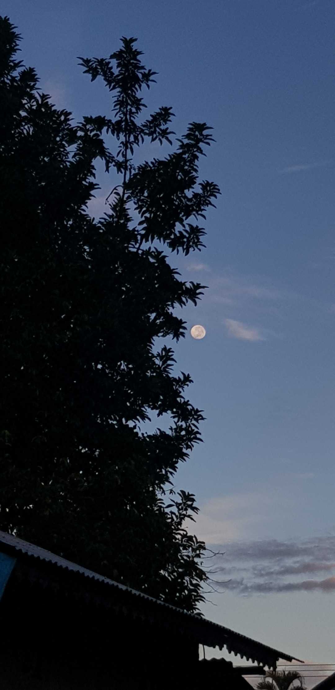 Mr. Moonlight