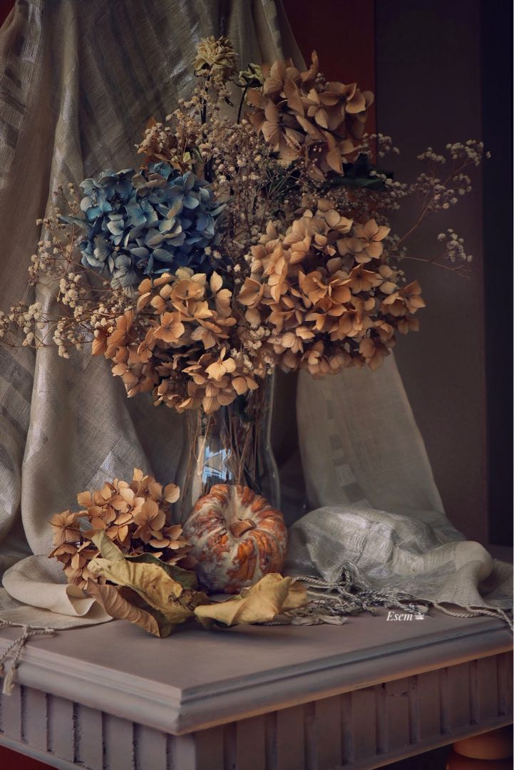 stillife photo