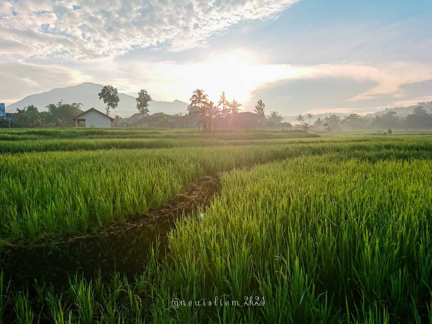 sunrise 