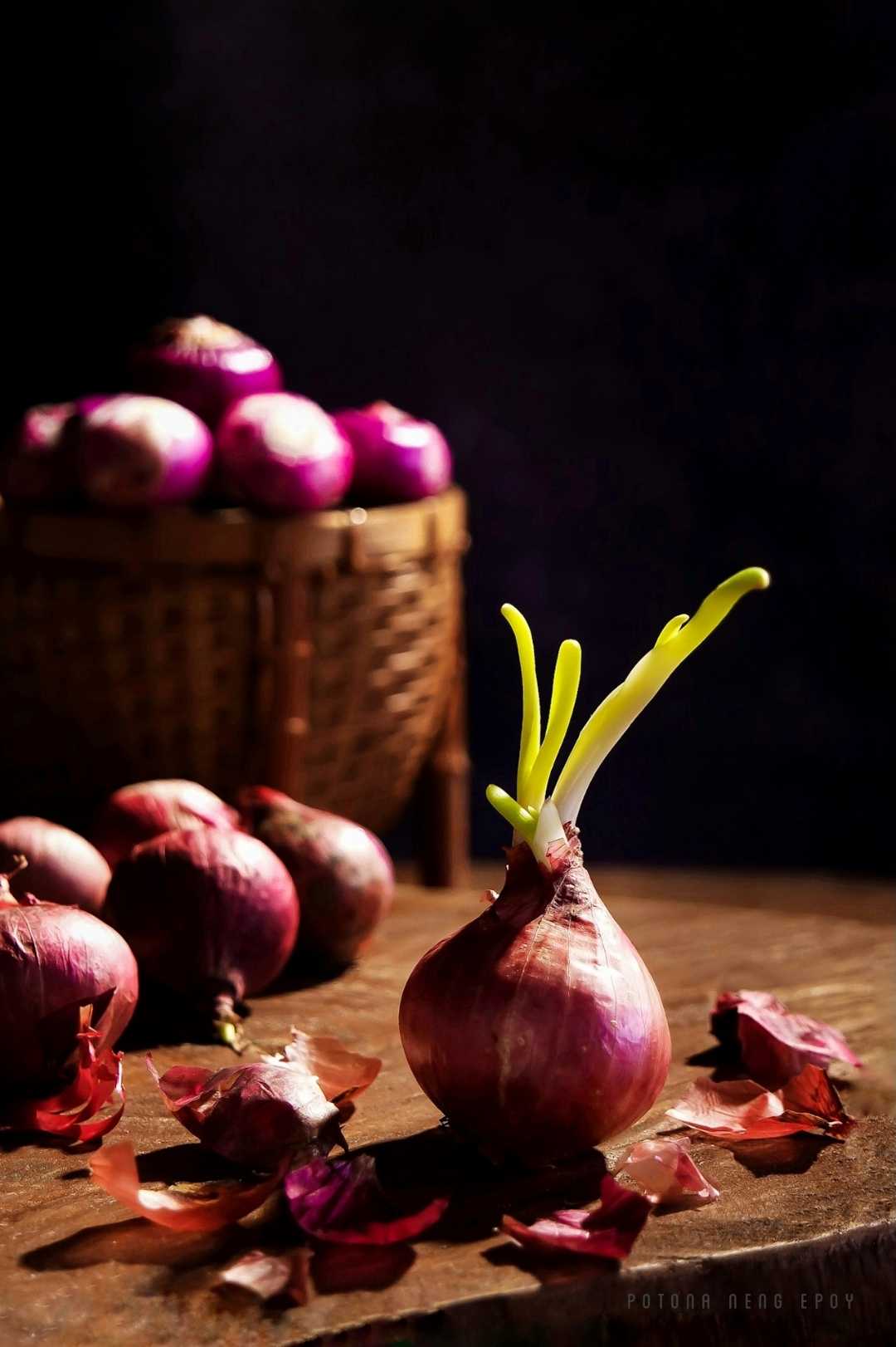 BAWANG MERAH (2)