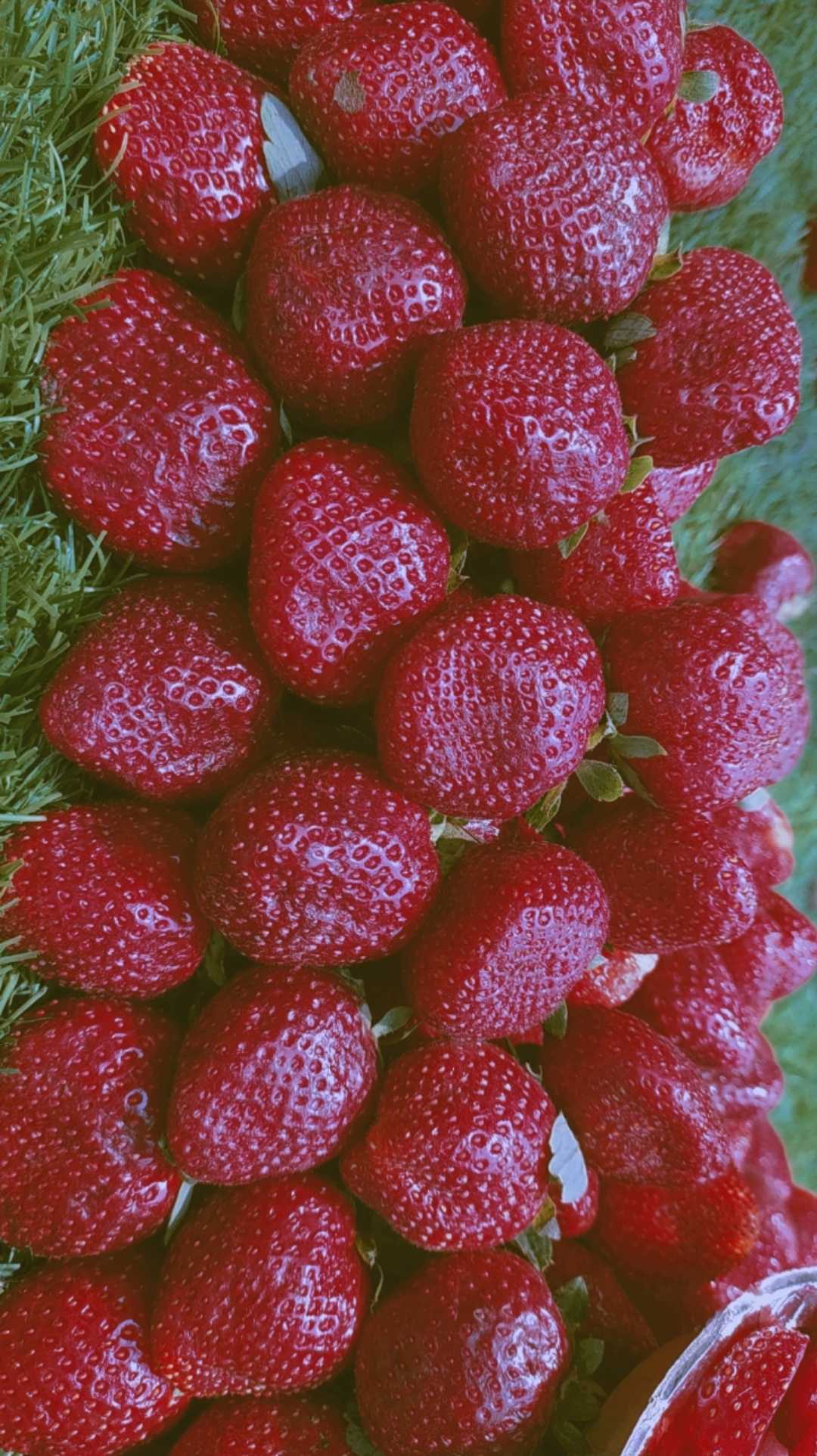 strawberries