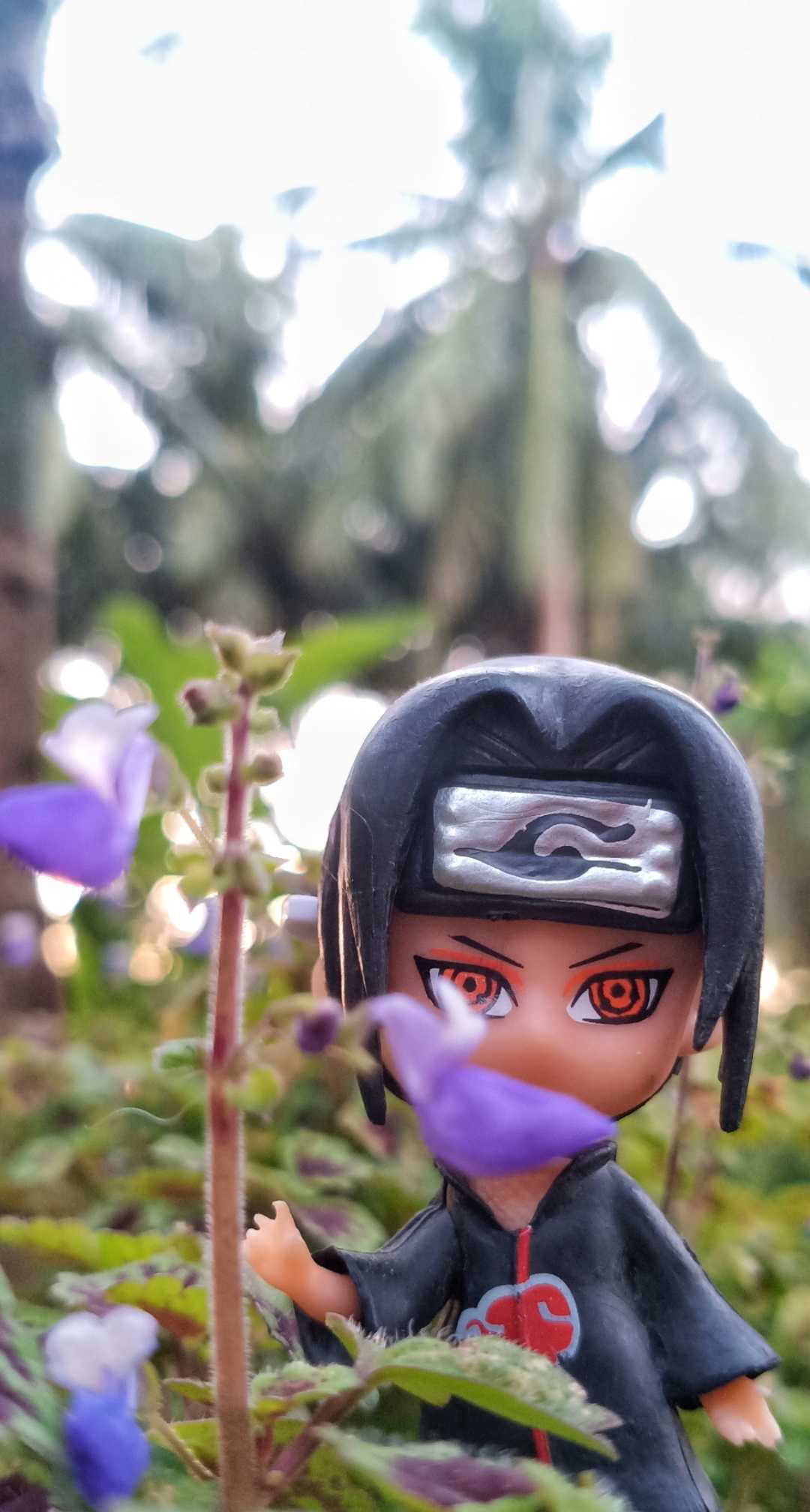 Hidden Leaf Village📍