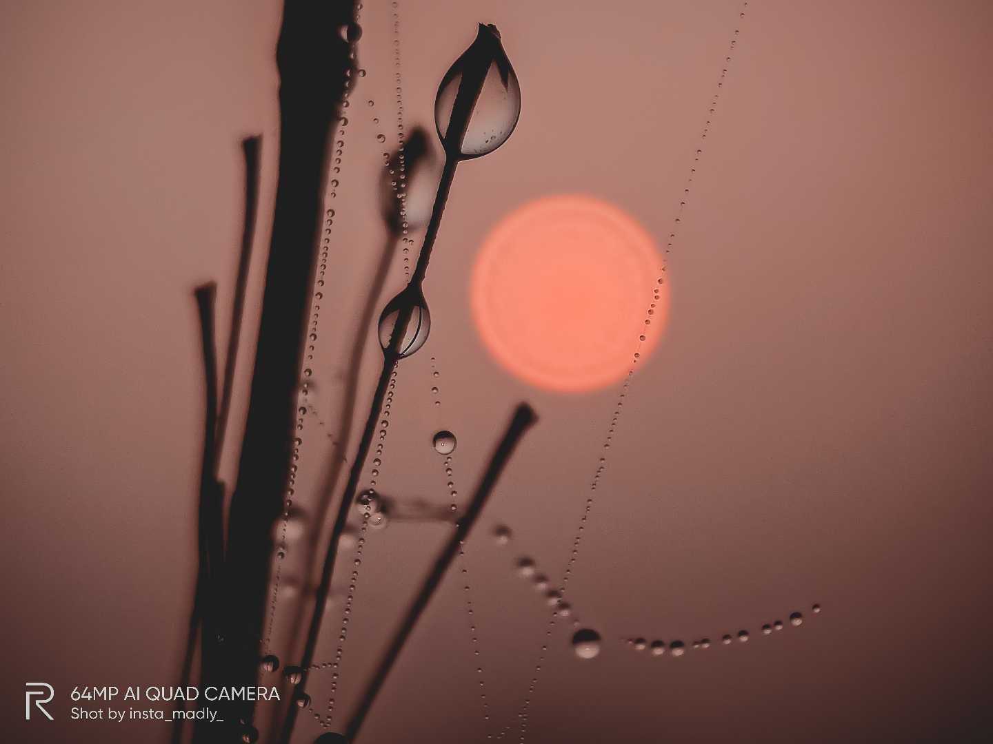 The Dwan Sun