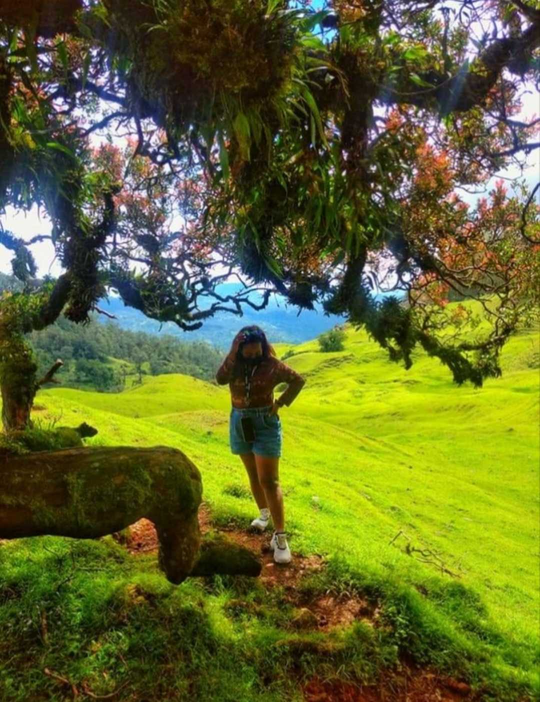 Cagar Alam Gunung Mutis
