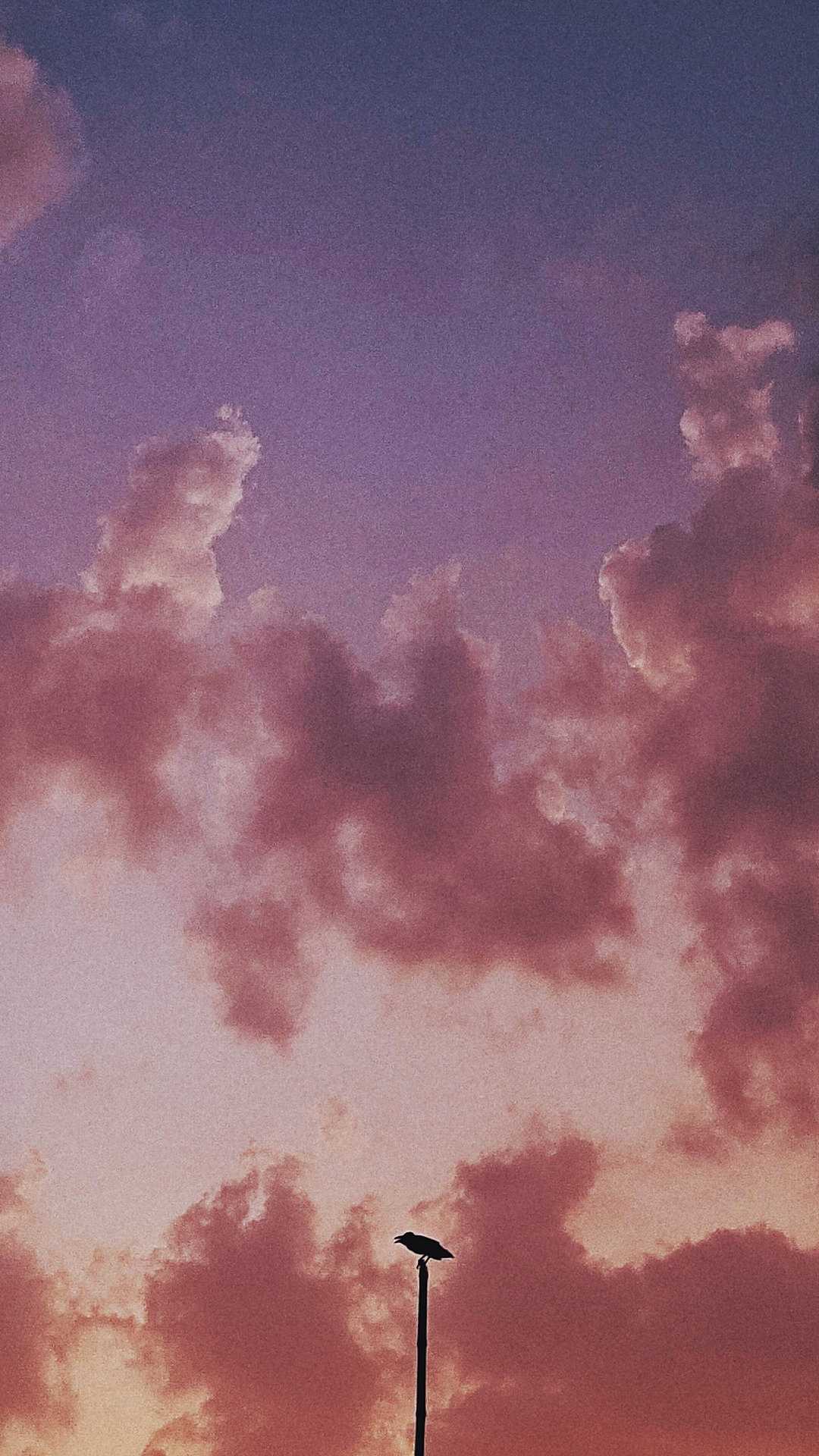 Aesthetic 
