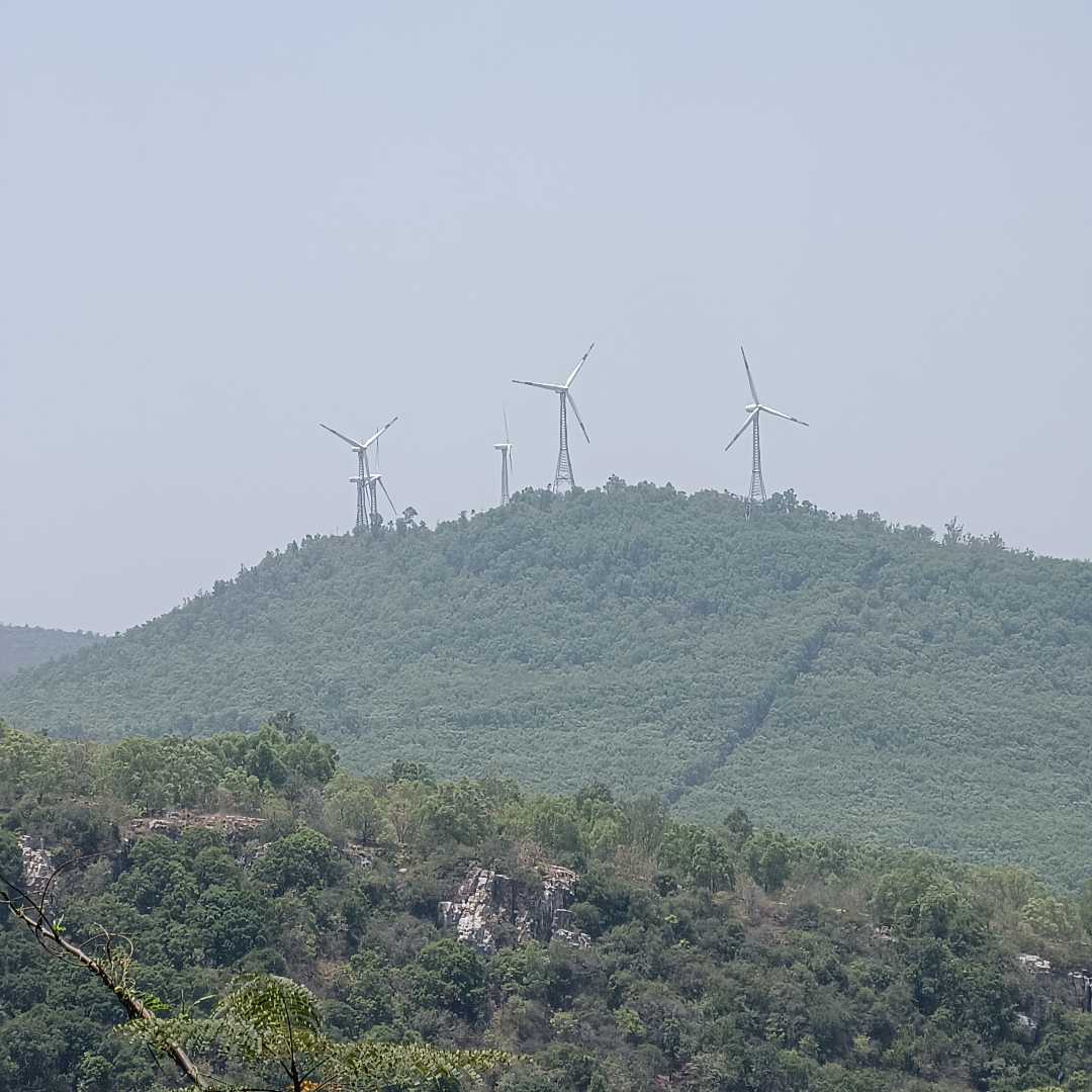 Seshachalam hills 