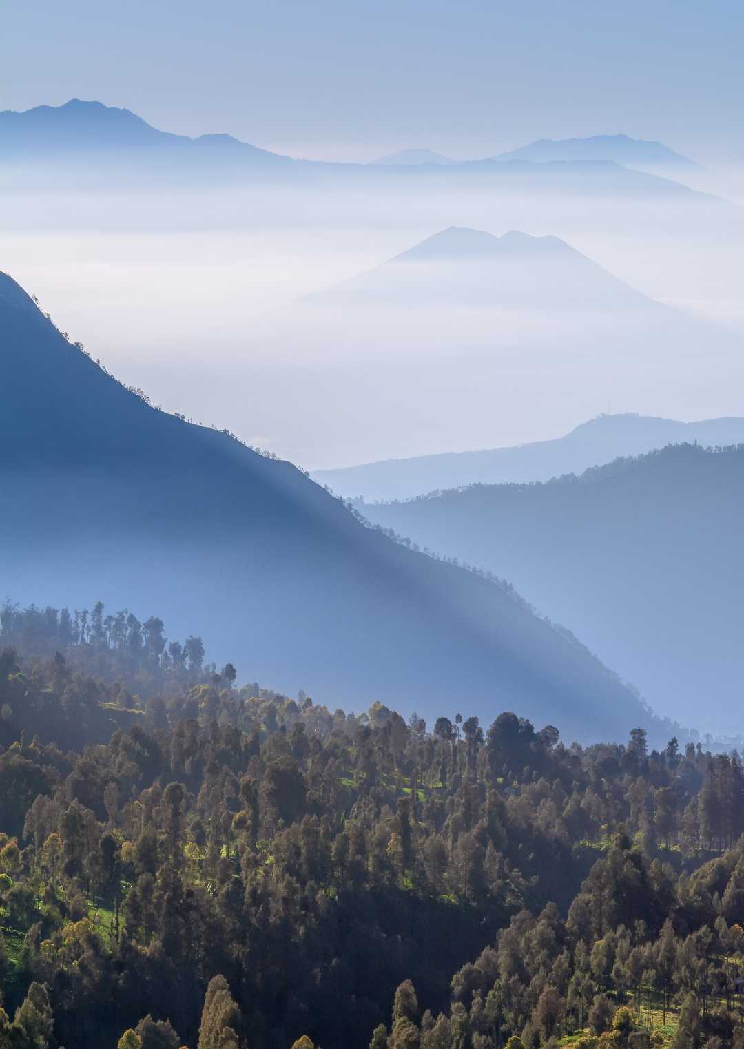 misty morning around bromo