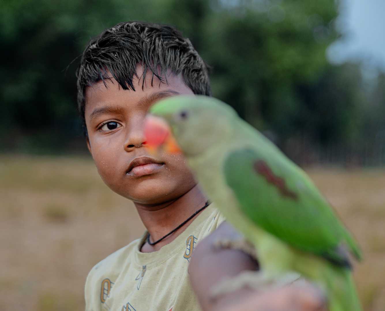 Pets Are Essential Part of Our Life