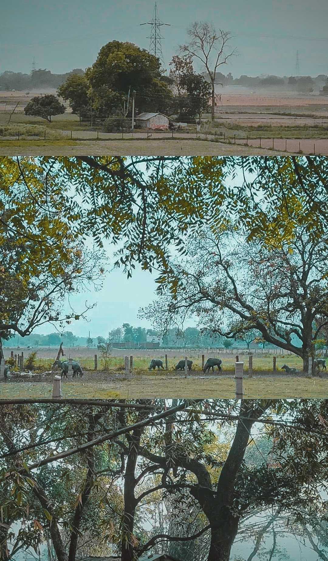 Village Life 