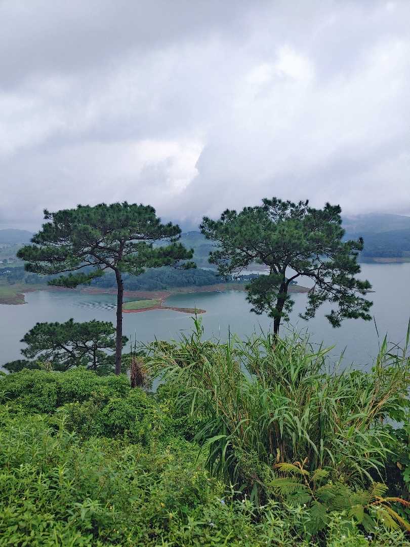 MEGHALAYA 