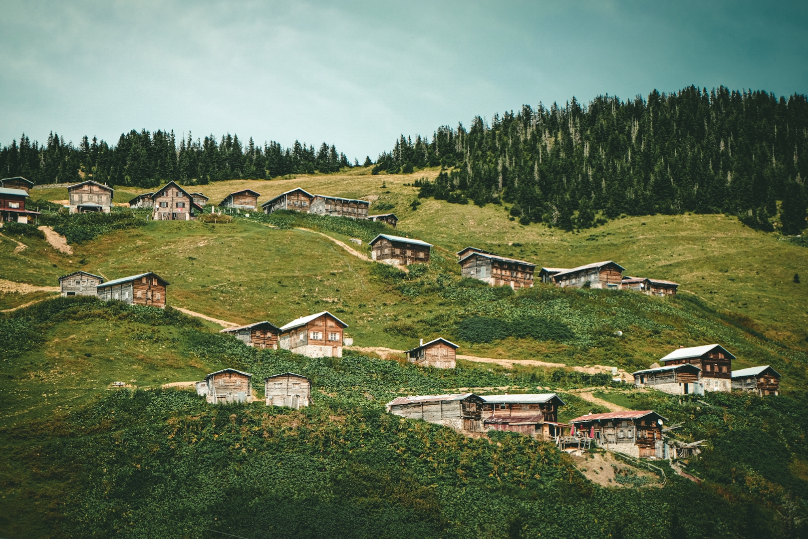 Pokut Yaylası⛰️
