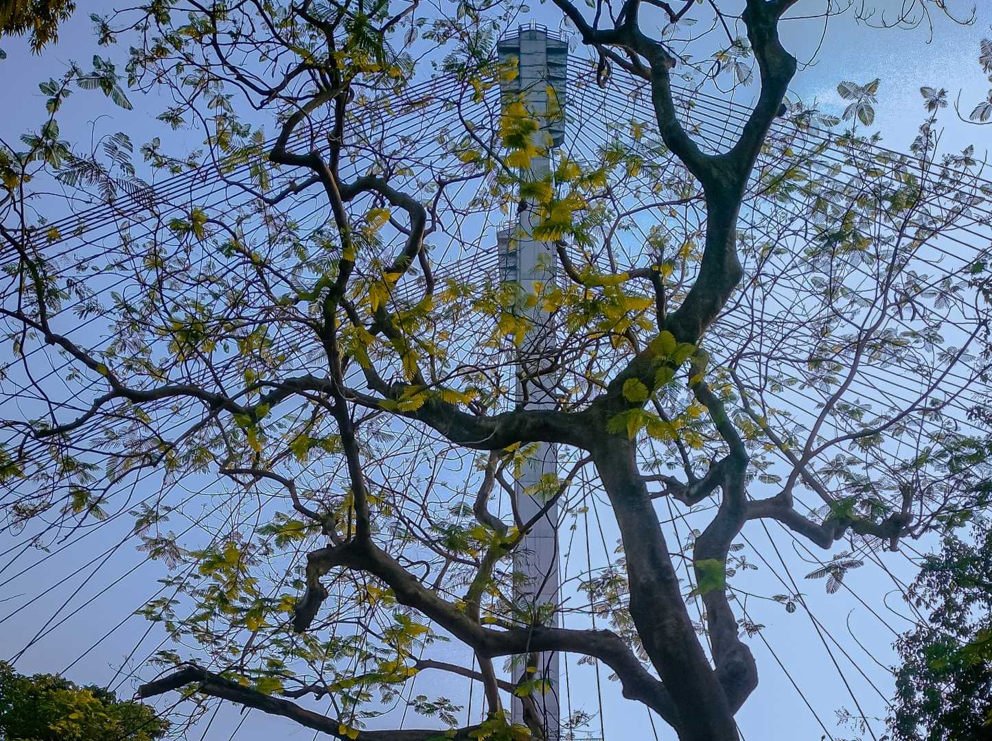 Vidyasagar Setu 