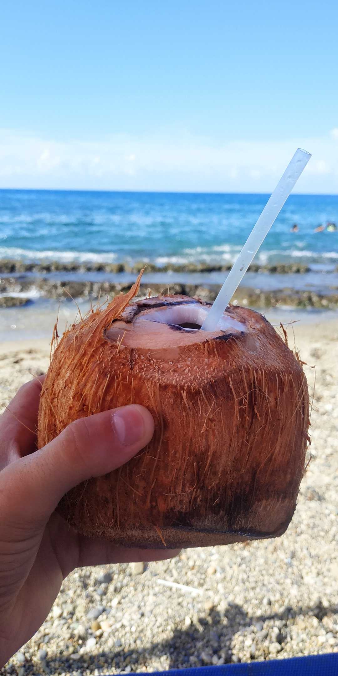 rica agua de 🥥