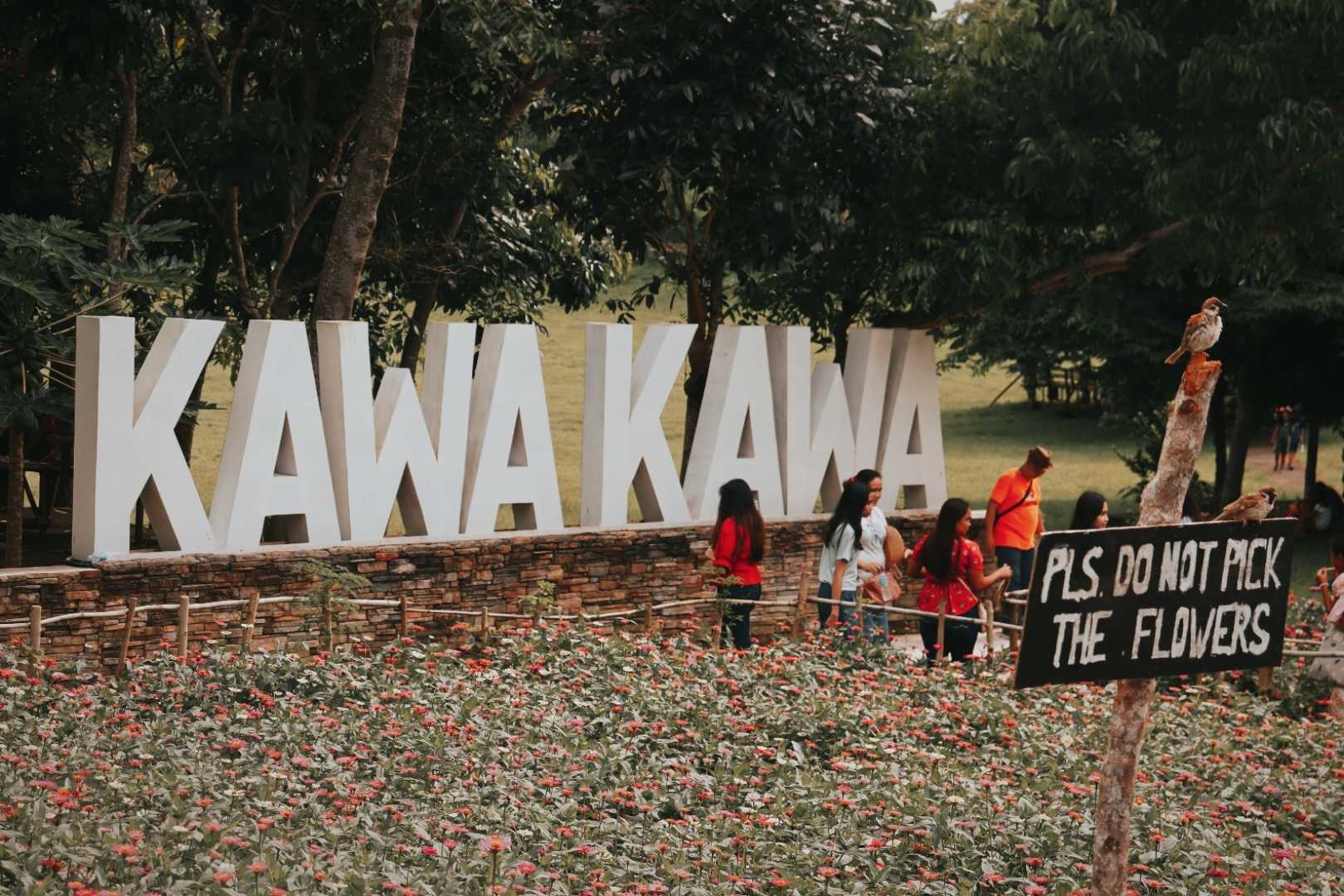 KAWA KAWA