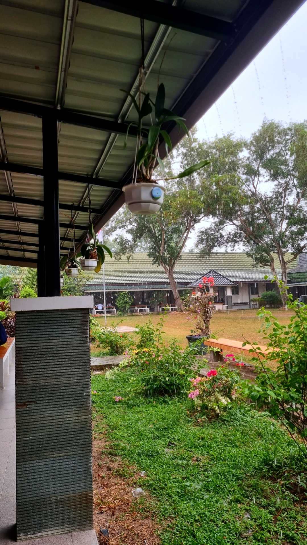 Waiting for the Rain
