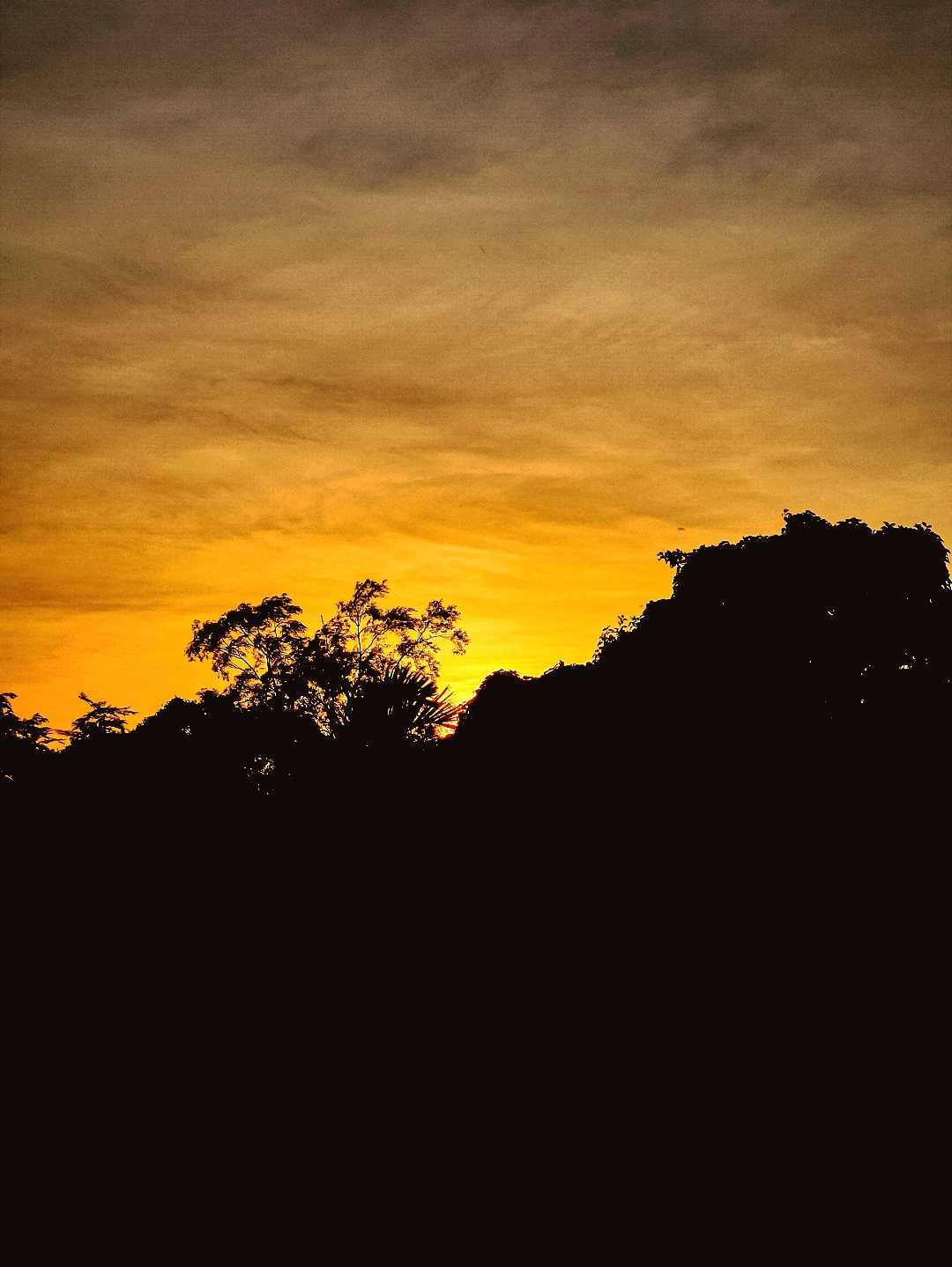 It's A Golden Moment 🌝💛🔥