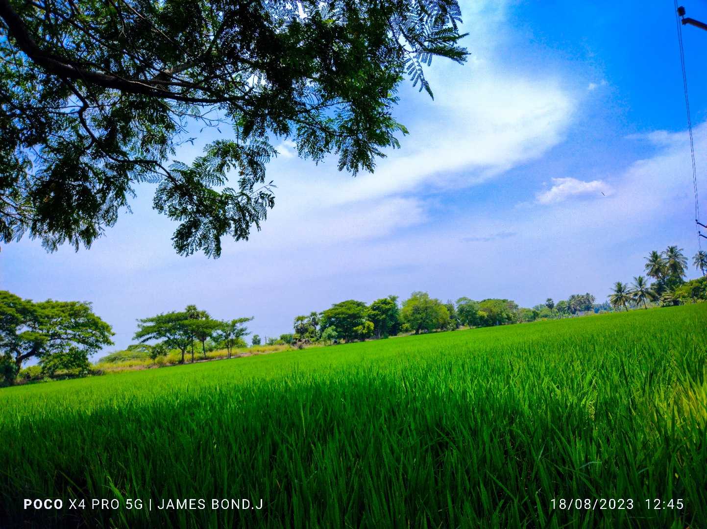 I love agriculture 🌷🌻🪻🌾🌱🌿💚