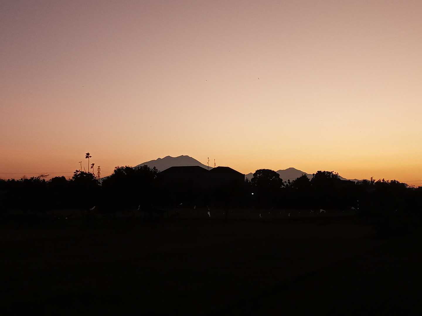 sunrise
