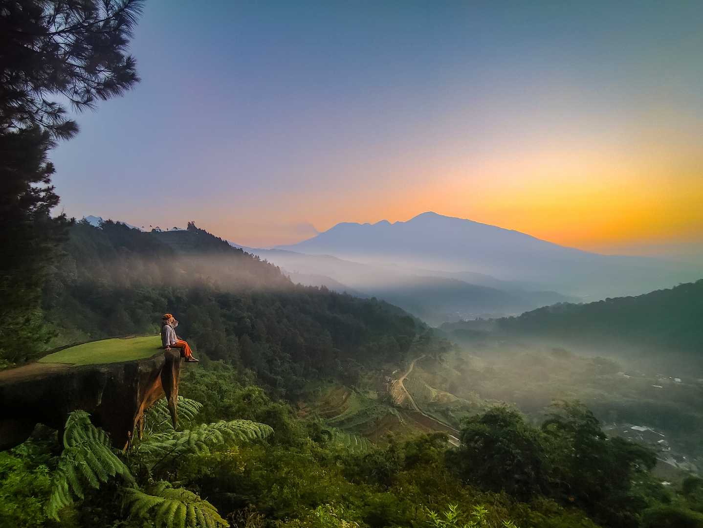 Goa Pinus Pujon