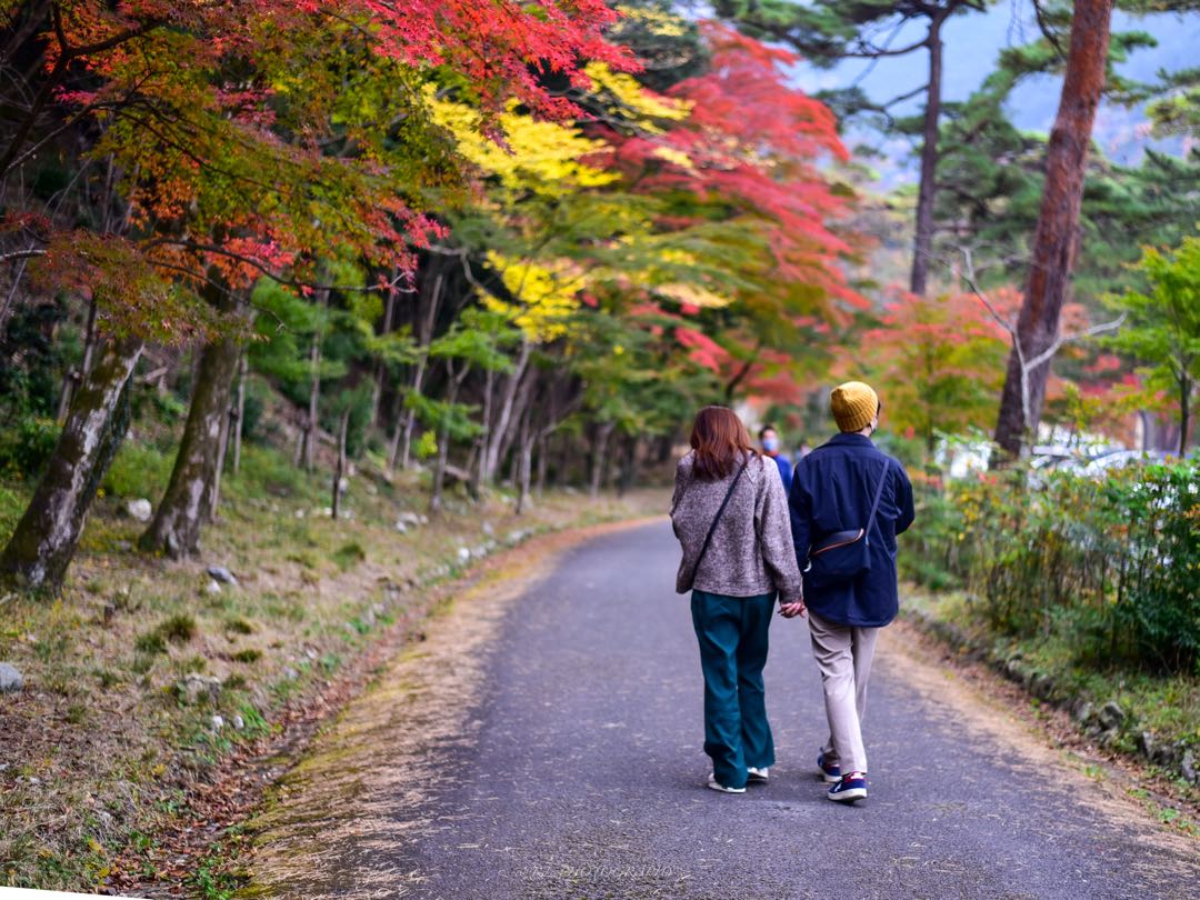 Autumn&love