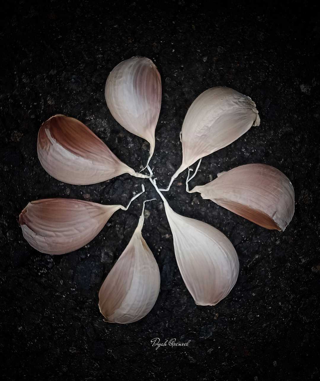 Garlic in the Repetition Composition