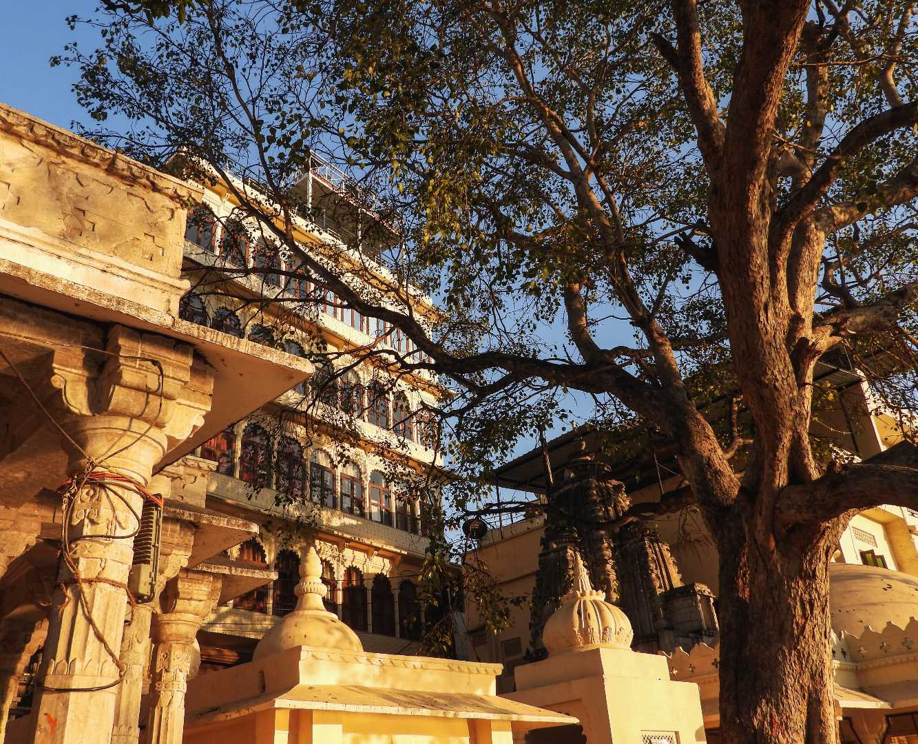 Beautiful Udaipur ❤️