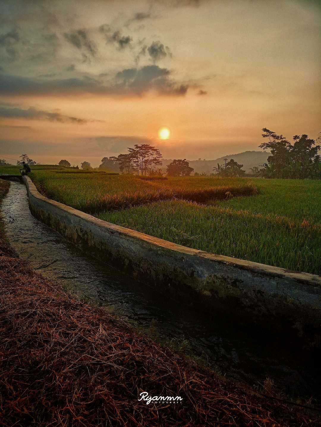 Pagi di Desa