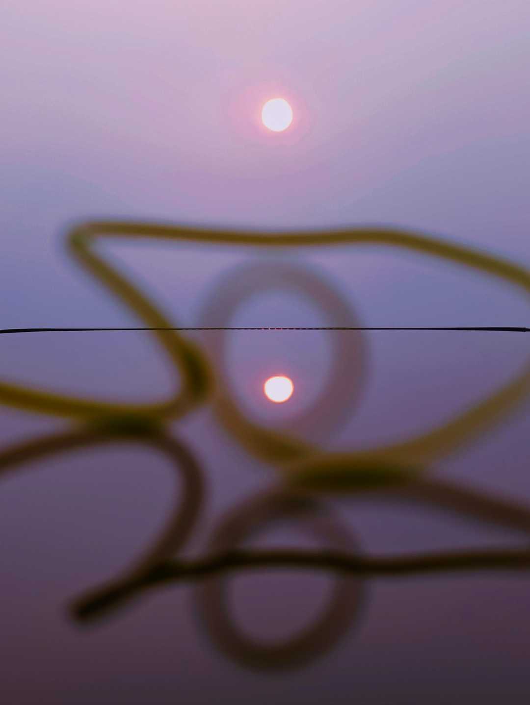 Forever chasing the Sun!