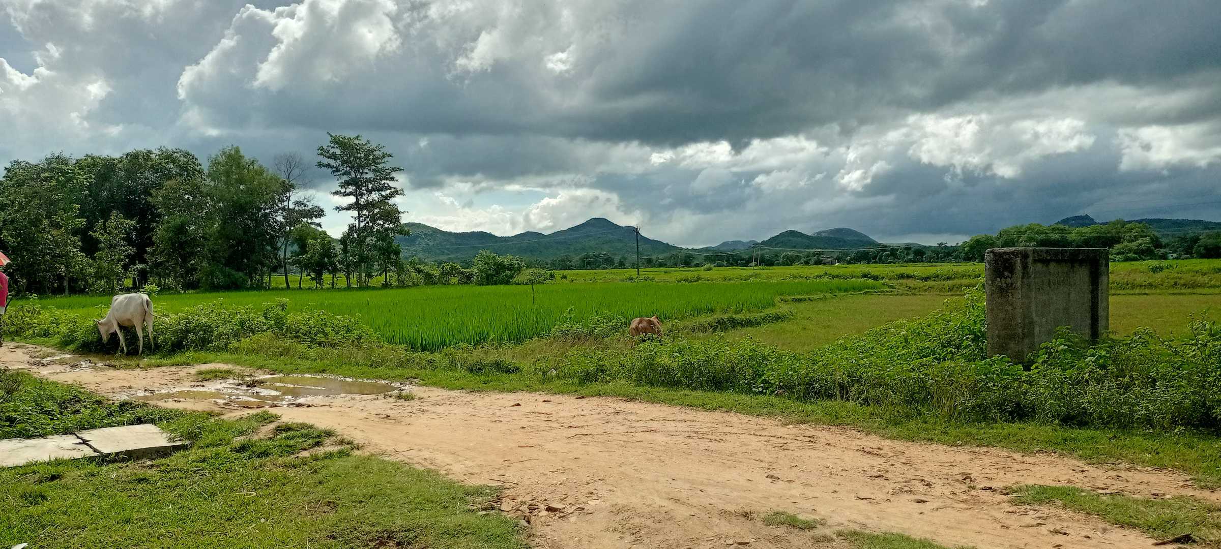 Our Village Beauty....