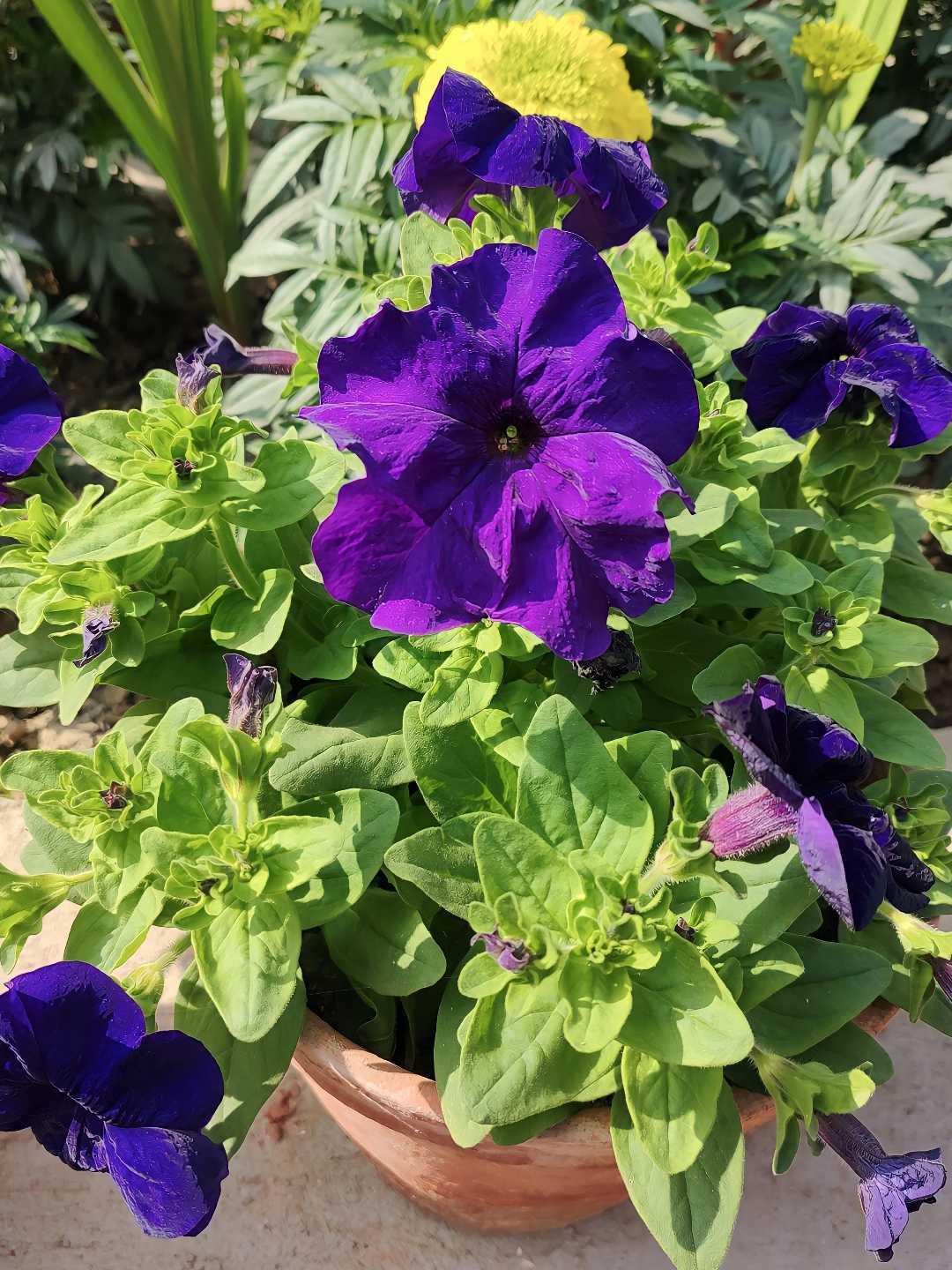 💜