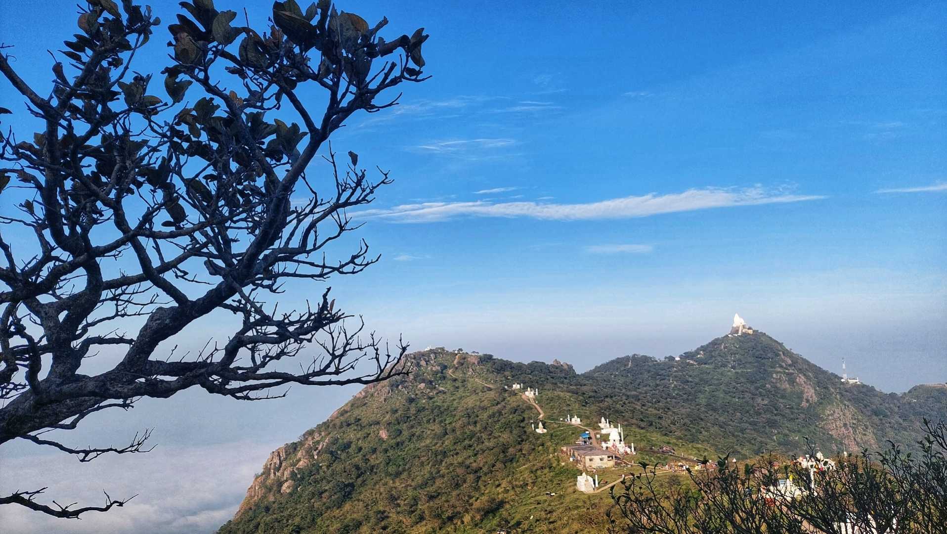 Teerthraj Shikhar ji ⛰ 
