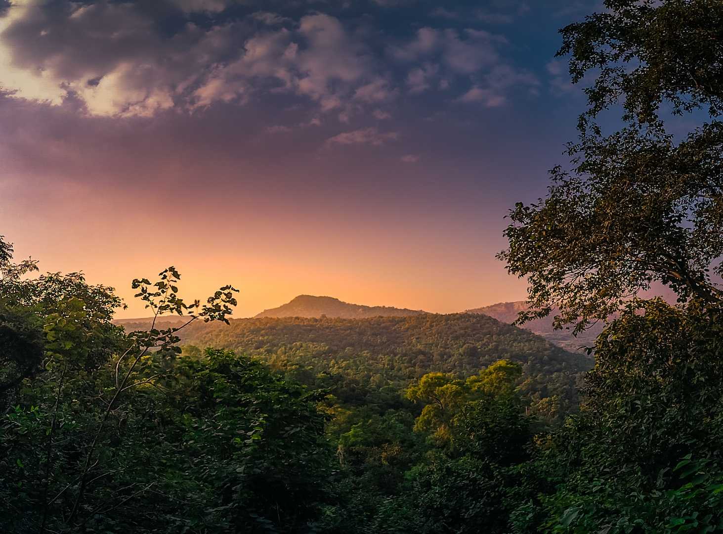 Peaceful Sunset 🌇