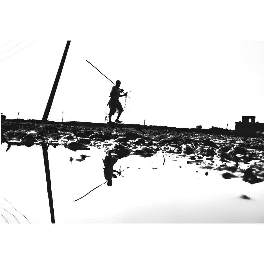 Silhouette