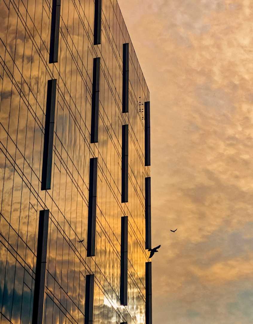 A gold plated sunset